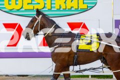 2025_PACEPIX_GP26092025_Race1_LouieLebeau_WIN_WEB-13