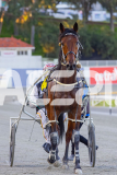 2025_PACEPIX_GP26092025_Race1_LouieLebeau_WIN_WEB-14
