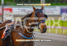 2026_Pacepix_GP14082026_Race1_LuckyCopy_WIN_WEB-15
