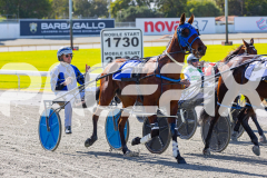 2025_PACEPIX_GP28072025_Race1_MaPetiteDane_WIN_WEB-10