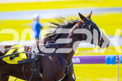 2025_PACEPIX_GP28072025_Race1_MaPetiteDane_WIN_WEB-14