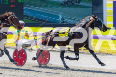 2025_PACEPIX_GP28072025_Race1_MaPetiteDane_WIN_WEB-19