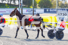 2025_PACEPIX_GP28072025_Race1_MaPetiteDane_WIN_WEB-2