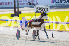 2025_PACEPIX_GP28072025_Race1_MaPetiteDane_WIN_WEB-21