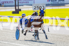 2025_PACEPIX_GP28072025_Race1_MaPetiteDane_WIN_WEB-22