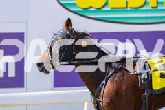 2025_PACEPIX_GP28072025_Race1_MaPetiteDane_WIN_WEB-27