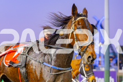 RACE 1 - Manhattan Moon