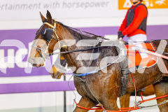 2025_PACEPIX_GP06062025_RACE1_ManhattanMoon_WIN_WEB-10
