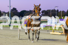 2025_PACEPIX_GP06062025_RACE1_ManhattanMoon_WIN_WEB-12