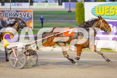 2025_PACEPIX_GP06062025_RACE1_ManhattanMoon_WIN_WEB-5