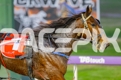 2025_PACEPIX_GP06062025_RACE1_ManhattanMoon_WIN_WEB-8