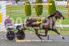 2026_PACEPIX_GP04092026_Race1_MaximumRock_WIN_WEB-16