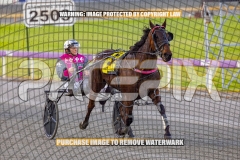 2026_PACEPIX_GP04092026_Race1_MaximumRock_WIN_WEB-17