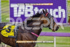 2026_PACEPIX_GP04092026_Race1_MaximumRock_WIN_WEB-18