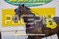 2026_PACEPIX_GP04092026_Race1_MaximumRock_WIN_WEB-22
