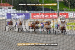 2026_PACEPIX_GP04092026_Race1_MaximumRock_WIN_WEB-5