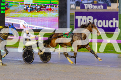 2026_PACEPIX_GP27032026_RACE1_Missleopatra_WIN_WEB-12