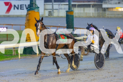2026_PACEPIX_GP27032026_RACE1_Missleopatra_WIN_WEB-16