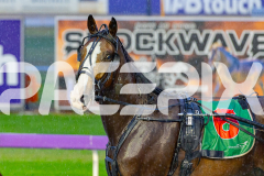 2026_PACEPIX_GP27032026_RACE1_Missleopatra_WIN_WEB-20