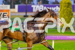 2026_PACEPIX_GP27032026_RACE1_Missleopatra_WIN_WEB-7