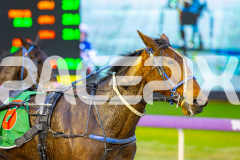 2025_PACEPIX_GP19082025_RACE1_MissStefani_WIN_WEB-11