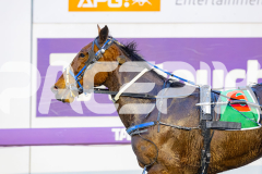 2025_PACEPIX_GP19082025_RACE1_MissStefani_WIN_WEB-13