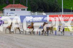 2025_PACEPIX_GP19082025_RACE1_MissStefani_WIN_WEB-3