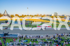 Gloucester Park - 31/12/2025