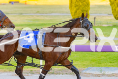 2025_PACEPIX_GP31122025_RACE1_MyMachane_WIN_WEB-19