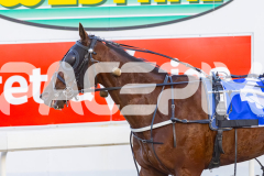 2025_PACEPIX_GP31122025_RACE1_MyMachane_WIN_WEB-21