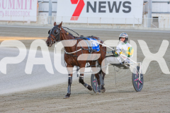 2025_PACEPIX_GP31122025_RACE1_MyMachane_WIN_WEB-22