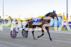 2025_PACEPIX_GP31122025_RACE1_MyMachane_WIN_WEB-23