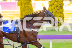 2025_PACEPIX_GP31122025_RACE1_MyMachane_WIN_WEB-6