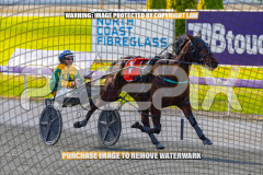 2024_PACEPIX_GP23012024_Race1_TheWildcard_WEB-112026_PACEPIX_GP27072026_RACE1_NeveleArma_WIN_WEB