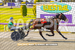 2024_PACEPIX_GP23012024_Race1_TheWildcard_WEB-132026_PACEPIX_GP27072026_RACE1_NeveleArma_WIN_WEB