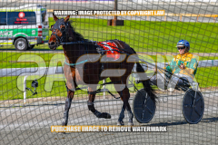 2024_PACEPIX_GP23012024_Race1_TheWildcard_WEB-152026_PACEPIX_GP27072026_RACE1_NeveleArma_WIN_WEB