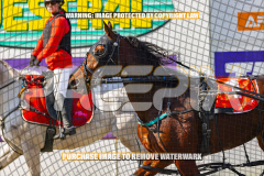 2024_PACEPIX_GP23012024_Race1_TheWildcard_WEB-172026_PACEPIX_GP27072026_RACE1_NeveleArma_WIN_WEB