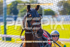 2024_PACEPIX_GP23012024_Race1_TheWildcard_WEB-182026_PACEPIX_GP27072026_RACE1_NeveleArma_WIN_WEB