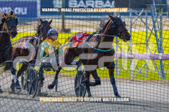 2024_PACEPIX_GP23012024_Race1_TheWildcard_WEB-22026_PACEPIX_GP27072026_RACE1_NeveleArma_WIN_WEB