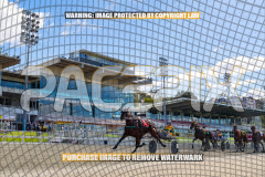 2024_PACEPIX_GP23012024_Race1_TheWildcard_WEB-72026_PACEPIX_GP27072026_RACE1_NeveleArma_WIN_WEB