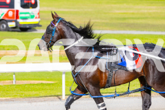 2025_PACEPIX_GP28102025_Race1_NiteSniper_WIN_WEB-13