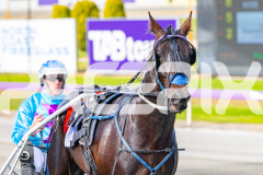 2025_PACEPIX_GP28102025_Race1_NiteSniper_WIN_WEB-15