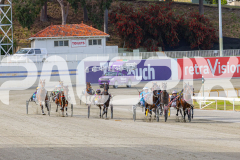 2025_PACEPIX_GP28102025_Race1_NiteSniper_WIN_WEB-2