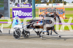 2025_PACEPIX_GP28102025_Race1_NiteSniper_WIN_WEB-8