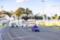 2025_PACEPIX_GP07112025_Race1_NutbushGirl_WIN_WEB-1