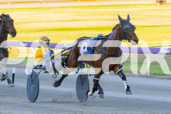2025_PACEPIX_GP07112025_Race1_NutbushGirl_WIN_WEB-10