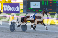 2025_PACEPIX_GP07112025_Race1_NutbushGirl_WIN_WEB-11
