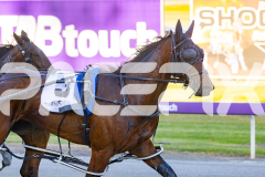 2025_PACEPIX_GP07112025_Race1_NutbushGirl_WIN_WEB-17