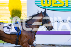 2025_PACEPIX_GP07112025_Race1_NutbushGirl_WIN_WEB-19