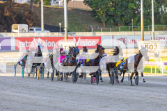 2025_PACEPIX_GP07112025_Race1_NutbushGirl_WIN_WEB-2